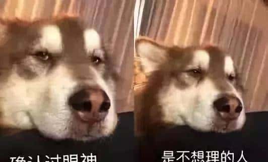 一起来get一下这些词语的中英文释义吧!