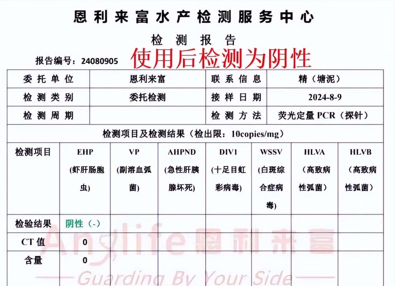 绿色替抗！83.46% 抑制率，虾肝肠胞虫（EHP）的克星，岂容错过？