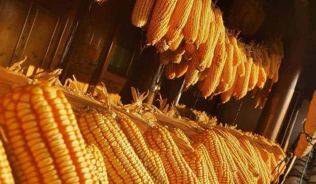 天无绝人之路!47句农村老话充满力量,值得收藏一下