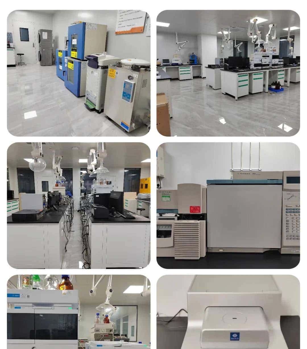 绿色替抗！83.46% 抑制率，虾肝肠胞虫（EHP）的克星，岂容错过？