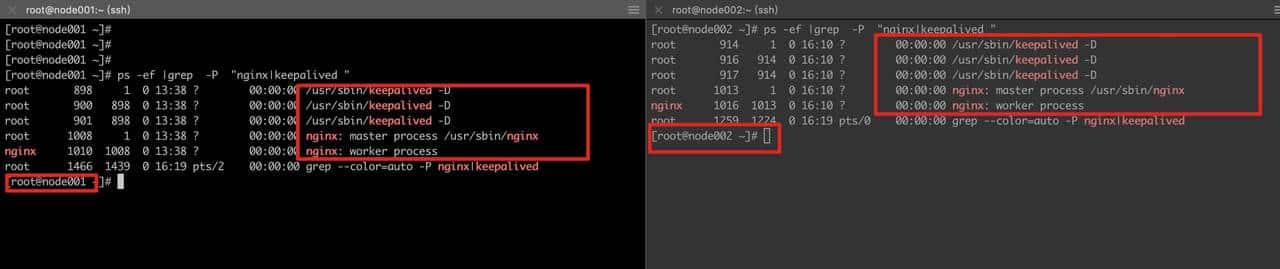 4步配置Nginx + Keepalived + Havip,解决前端单点问题