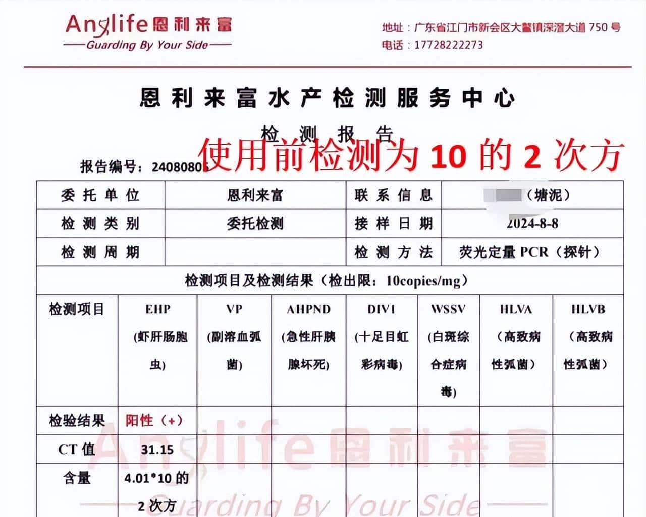 绿色替抗！83.46% 抑制率，虾肝肠胞虫（EHP）的克星，岂容错过？