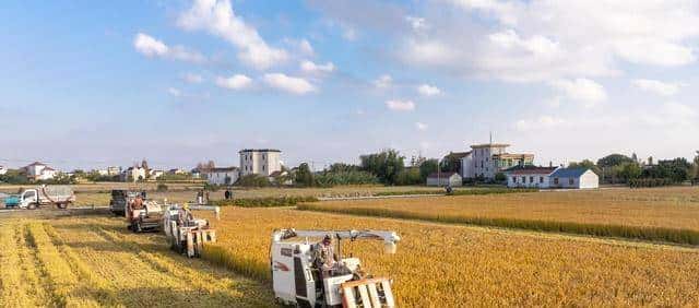 天无绝人之路!47句农村老话充满力量,值得收藏一下