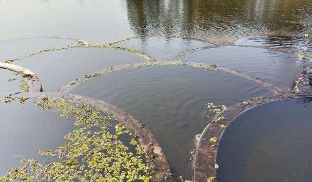 秦淮上游的鱼鳞坝，玩的人许多，但南京人很少知道