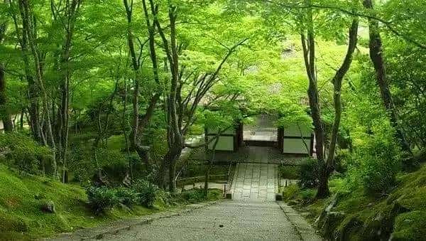 内外调和   邪不能害