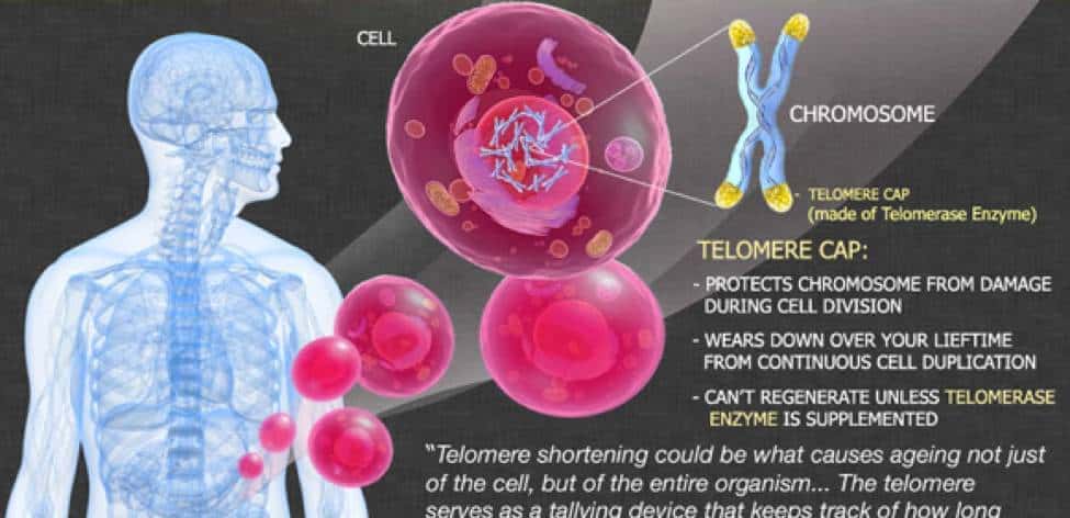 人类到底能不能“永生”？