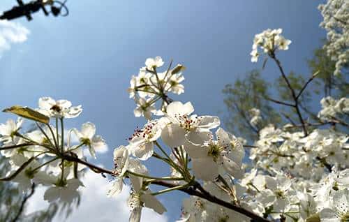 长续航闪拍利器 OPPO R9 Plus真机评测