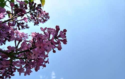 长续航闪拍利器 OPPO R9 Plus真机评测