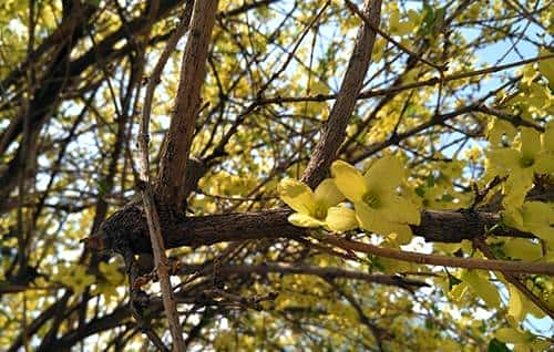 长续航闪拍利器 OPPO R9 Plus真机评测