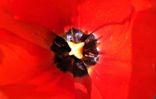 长续航闪拍利器 OPPO R9 Plus真机评测