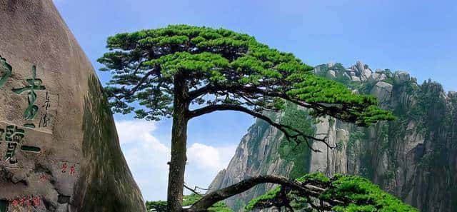 “黄山门票又涨价了?