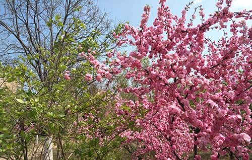 长续航闪拍利器 OPPO R9 Plus真机评测