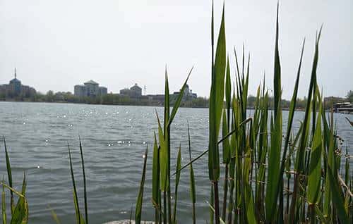 长续航闪拍利器 OPPO R9 Plus真机评测