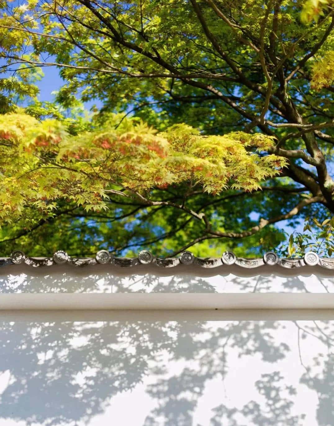 内外调和   邪不能害