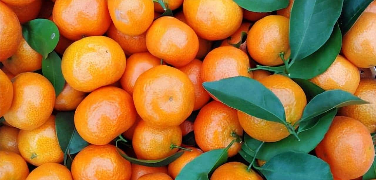 昭化味道 | min甜，开“炫”！