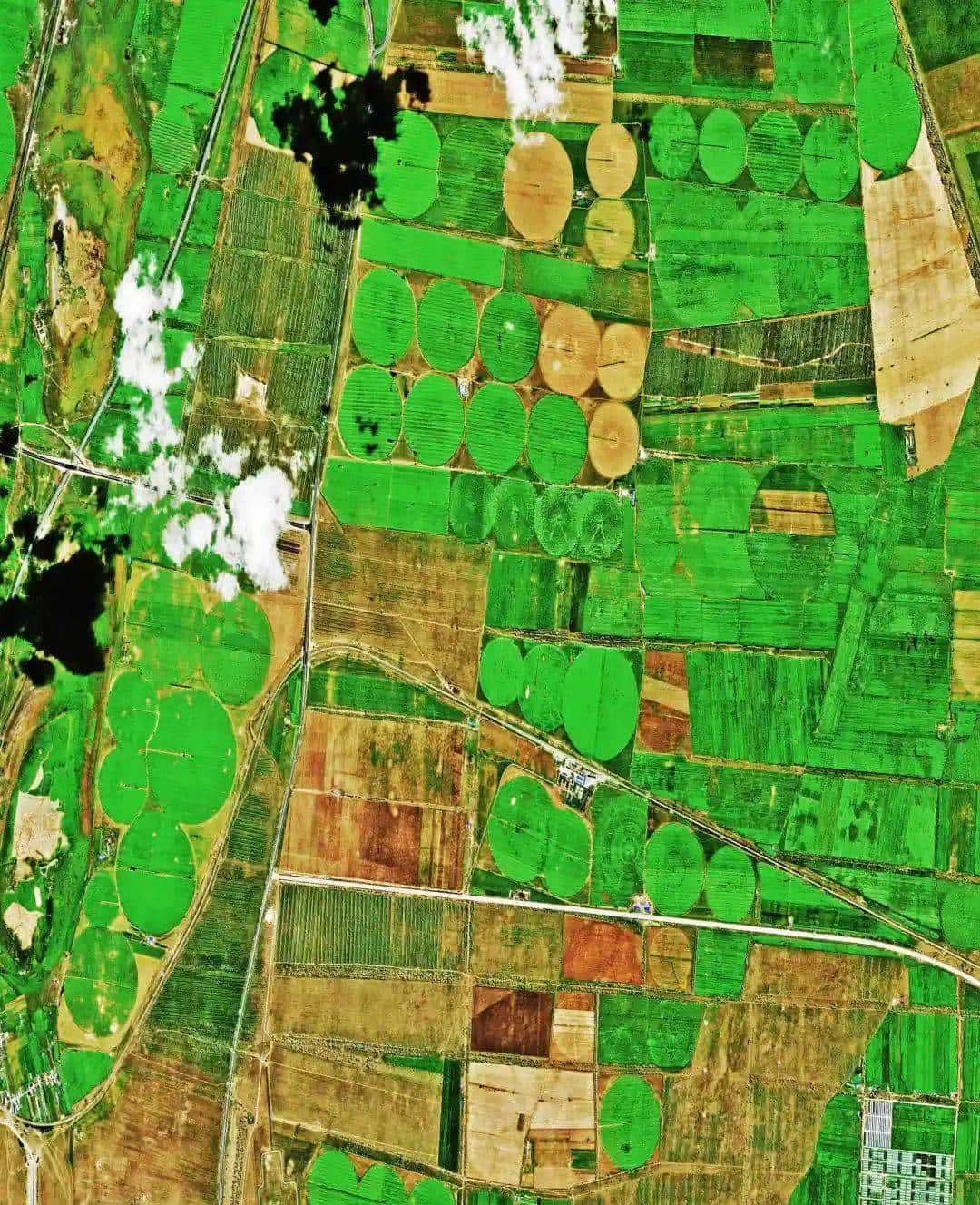 今天只有一个颜色