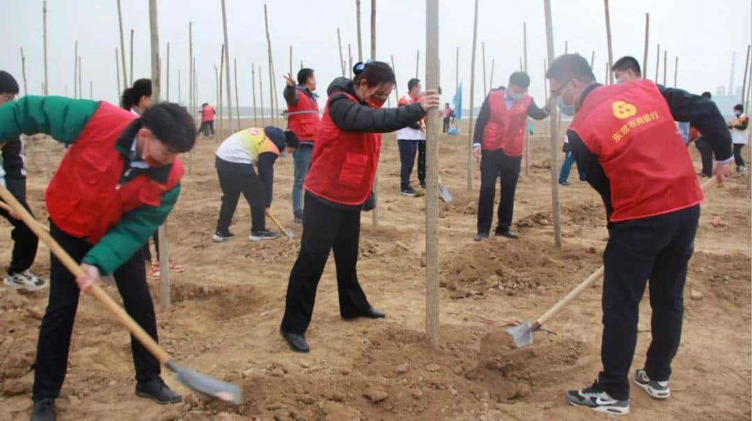 今天只有一个颜色