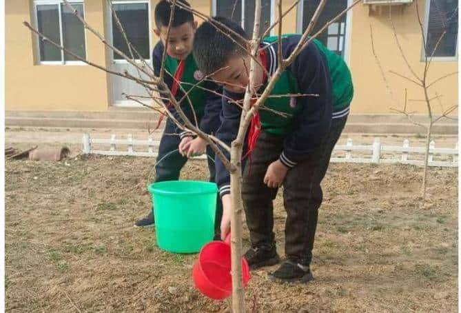 今天只有一个颜色