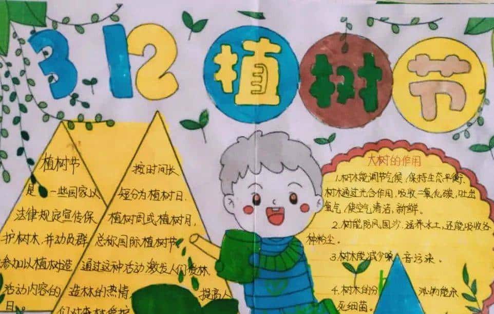 今天只有一个颜色