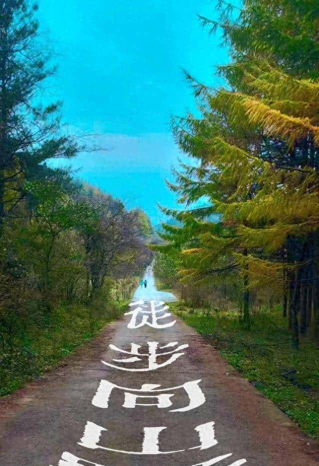 全部免费！最快40min刹拢！这5个秋日徒步圣地，好玩又出片！ - 鹿快