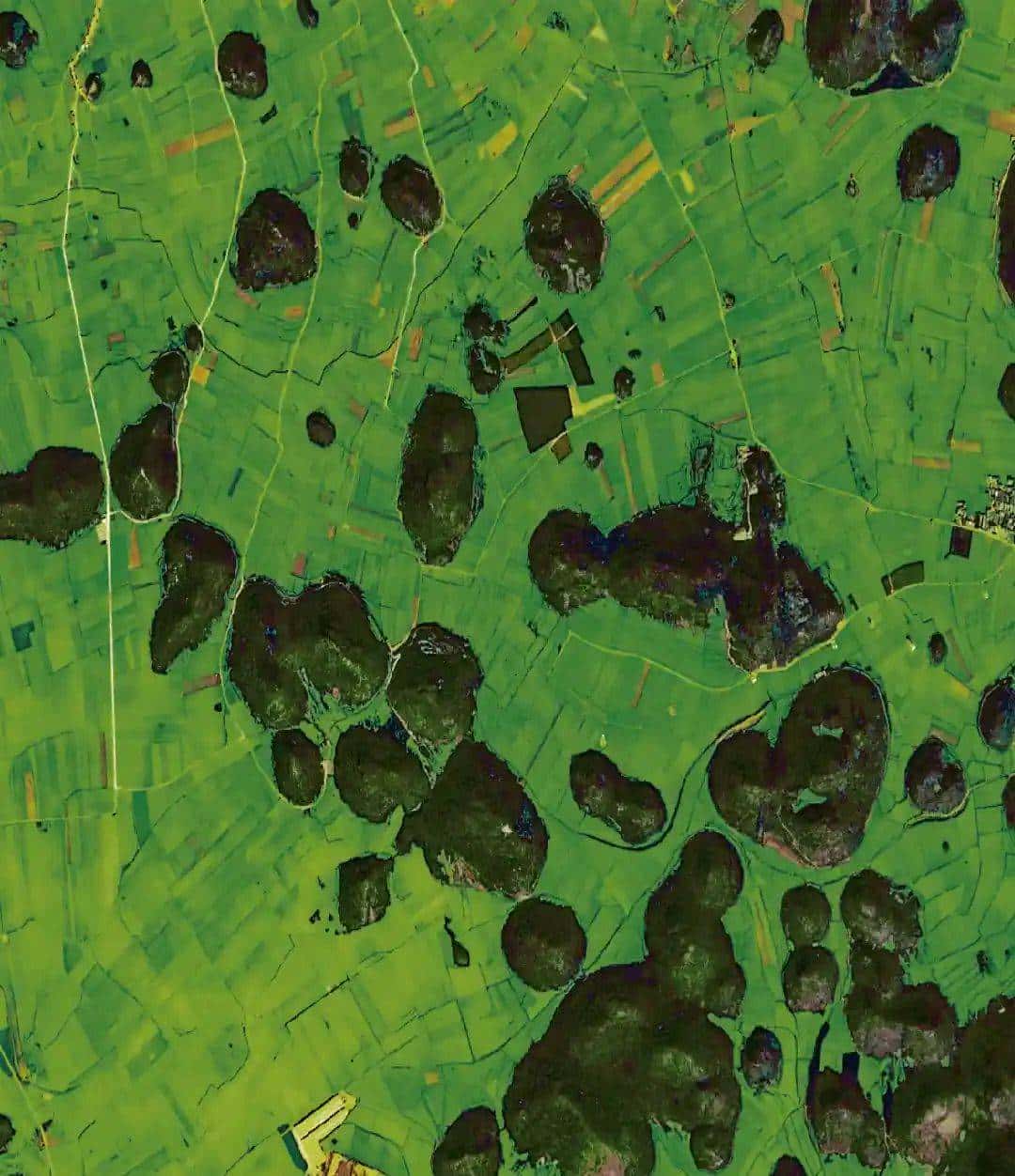 今天只有一个颜色