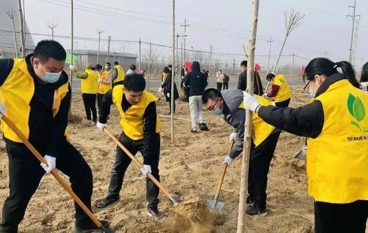 今天只有一个颜色