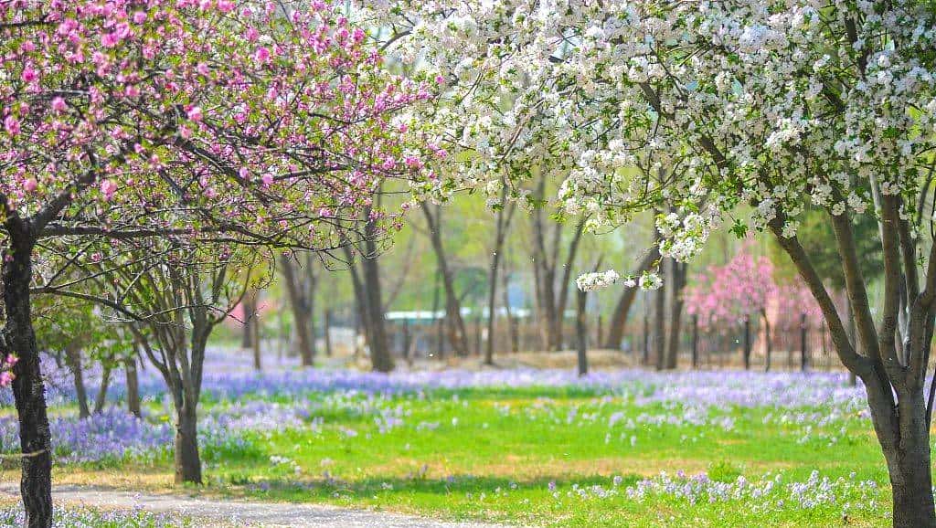 今天只有一个颜色 - 鹿快