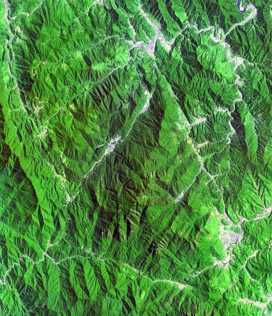 今天只有一个颜色