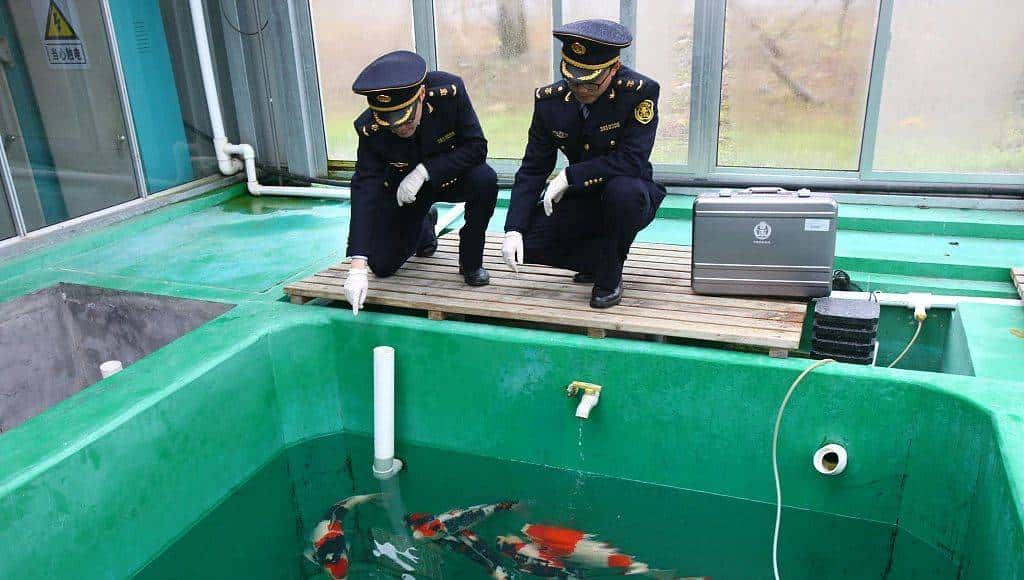 问中国 | 中国为什么需要生物安全法？