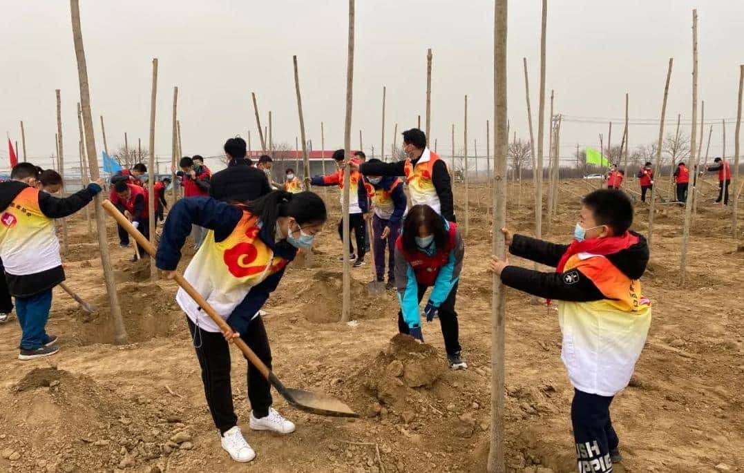 今天只有一个颜色