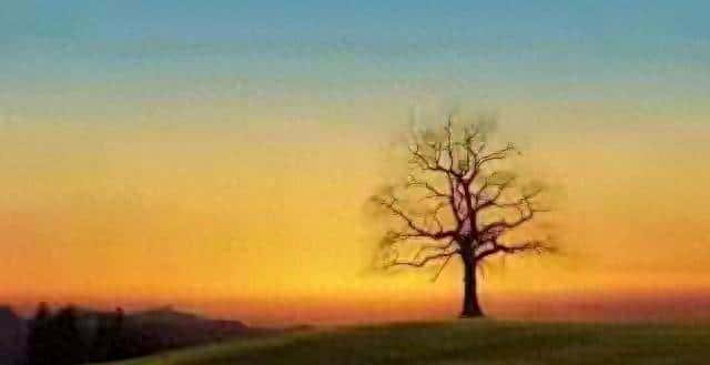 六十岁之后,钱能存到这个数就够了,没必要太多!