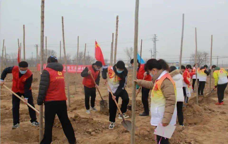 今天只有一个颜色