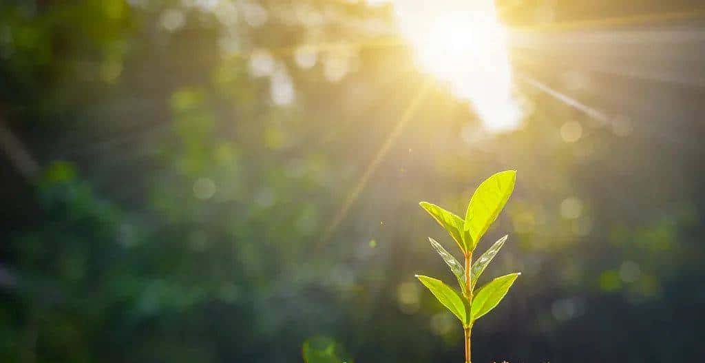 今天只有一个颜色