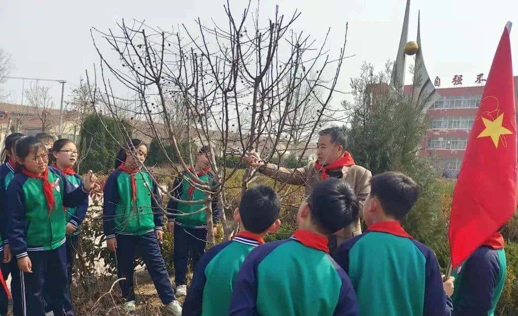 今天只有一个颜色