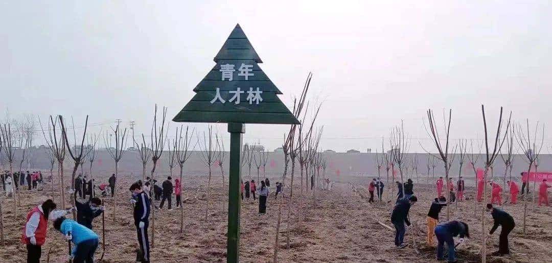 今天只有一个颜色