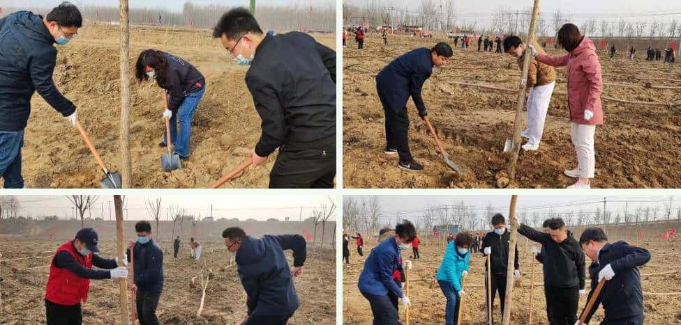 今天只有一个颜色