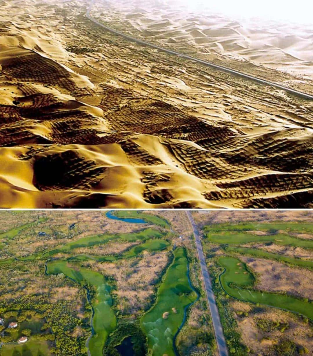 今天只有一个颜色