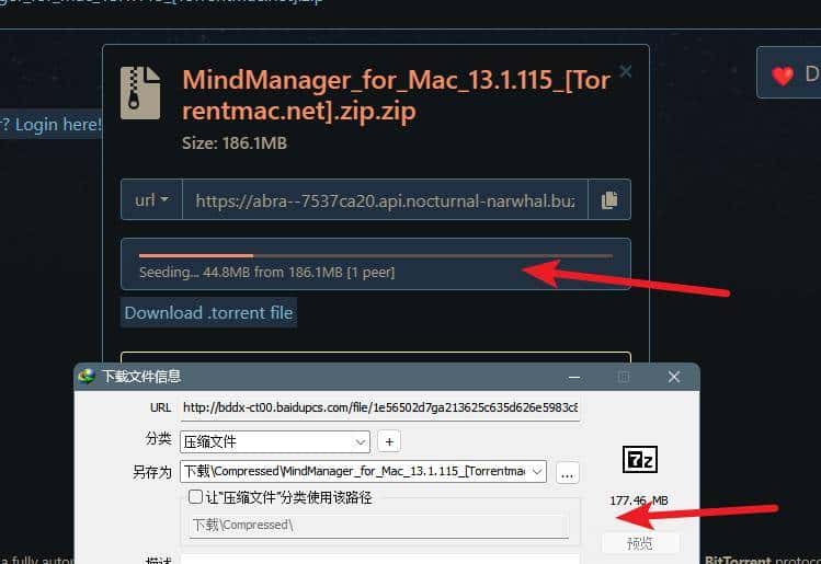 磁力链接bt链接转直链IDM下载