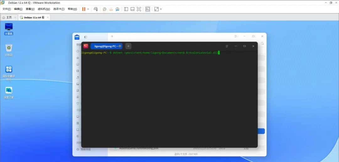 C#Avalonia串口通讯Linux部署测试