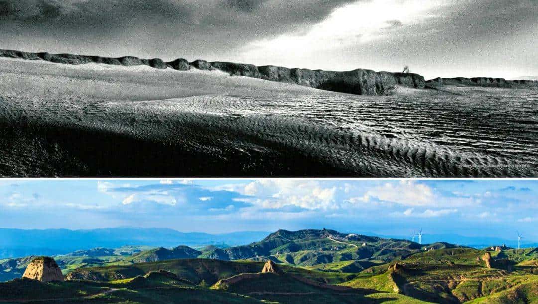 今天只有一个颜色