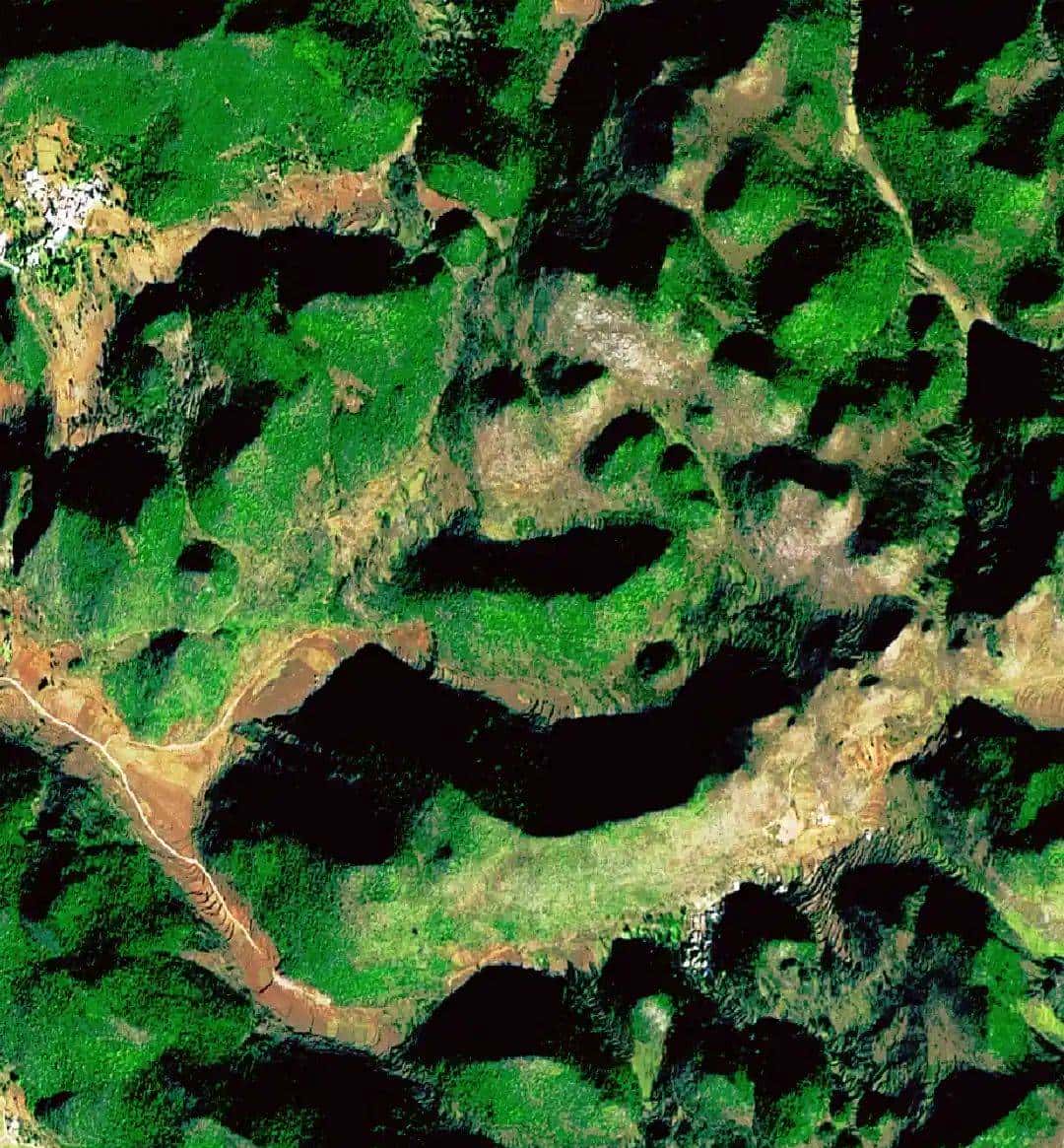 今天只有一个颜色