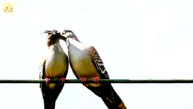 男人搞定女人最快的方法、从古至今从未改变 - 鹿快