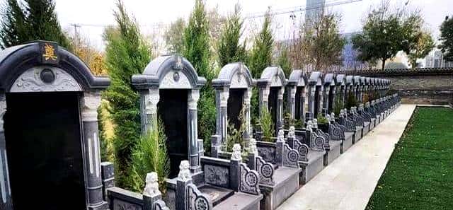 墓地到期不用慌！原来处理方式这么有人情味