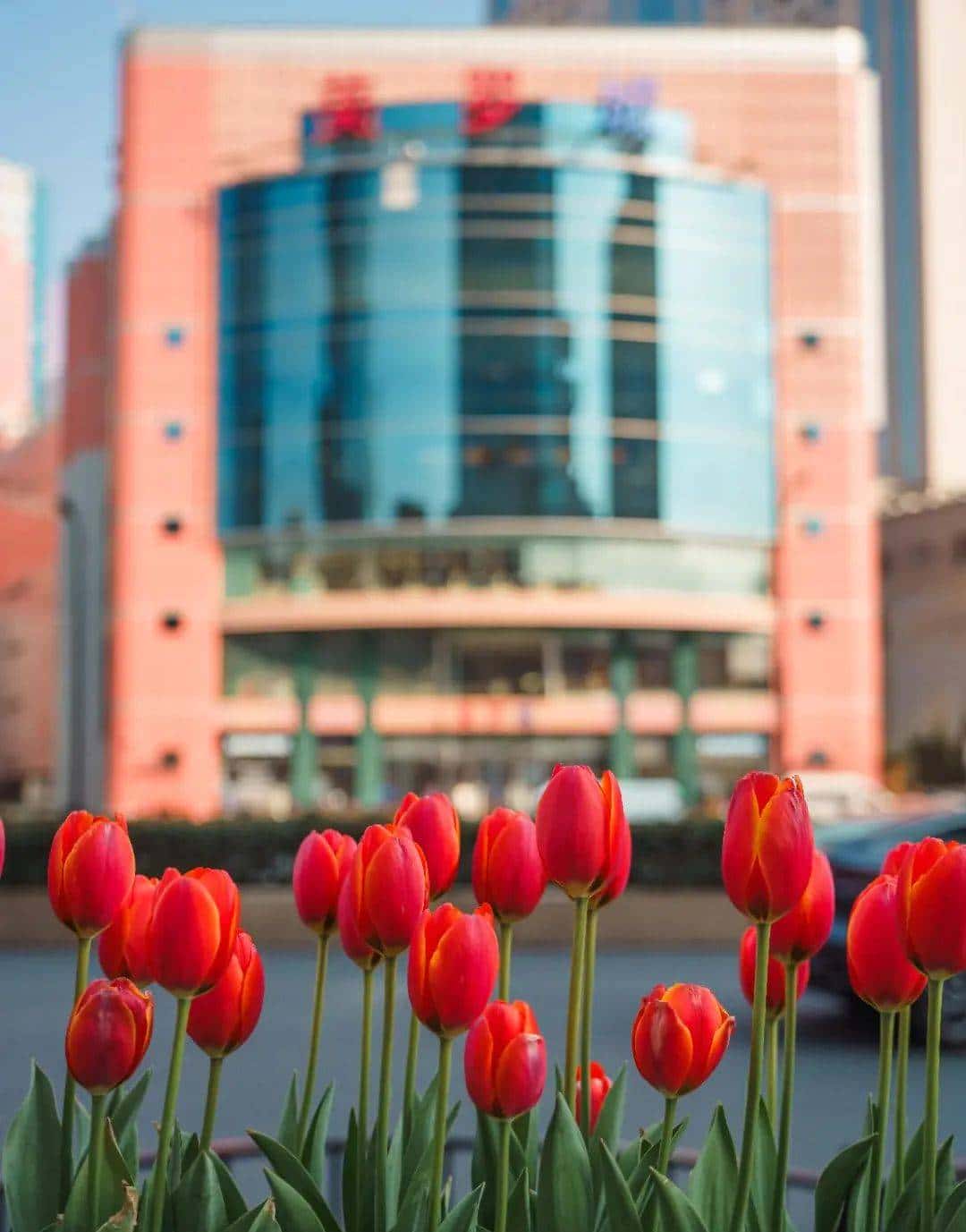 最轻便的挂机变焦，我选腾龙20-40/2.8