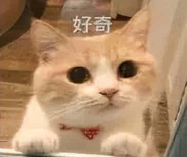 Python自动化——pytest常用插件详解 - 鹿快