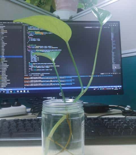 AI不是敌人也不是神器！这样相处少走10年弯路