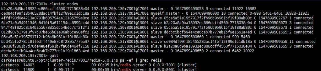 redis集群解析和水平扩展