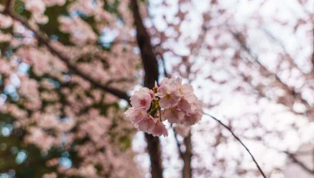 最轻便的挂机变焦，我选腾龙20-40/2.8