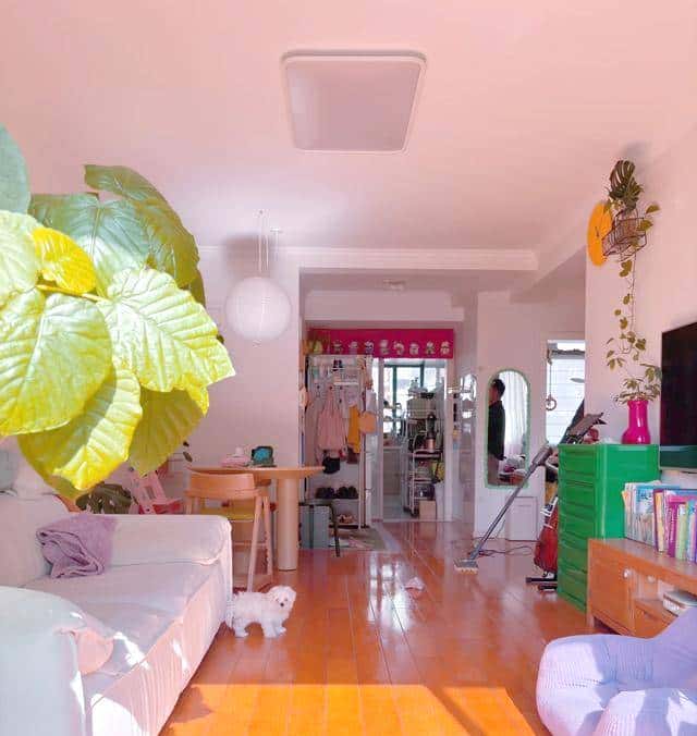 家里越脏，财运越“跑”？别不信，这不是玄学是科学