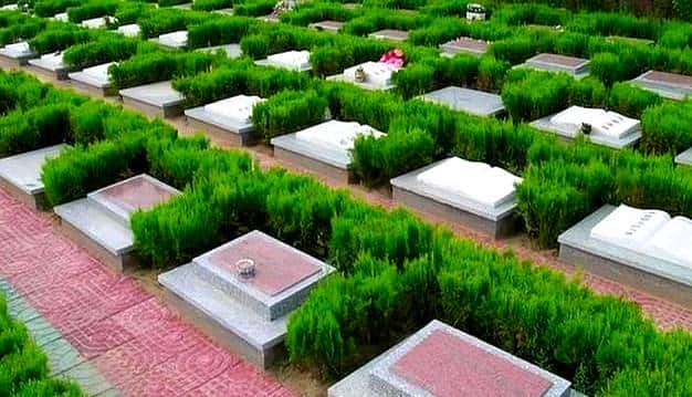 墓地到期不用慌！原来处理方式这么有人情味